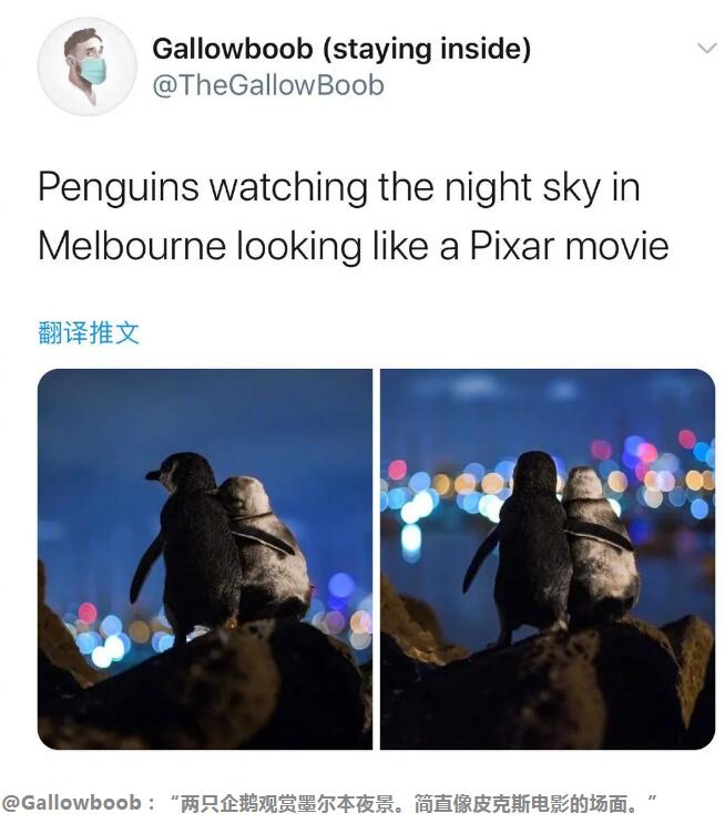 企鹅